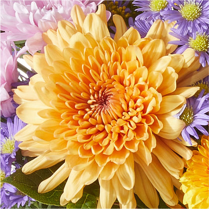 Countryside Bouquet –  The Happy Florist, Sanford FL
