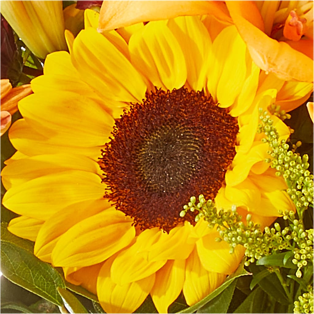 Seasons Change Bouquet –  The Happy Florist, Sanford FL