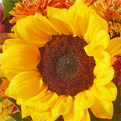 Sunny Side Bouquet –  The Happy Florist, Sanford FL