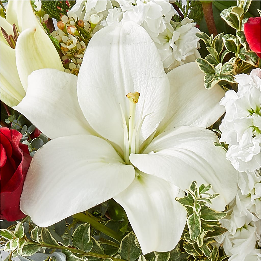 Twinkle Lights Bouquet –  The Happy Florist, Sanford FL