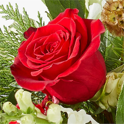 Deck the Halls Bouquet –  The Happy Florist, Sanford FL
