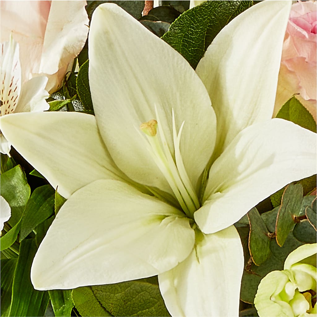 Ballet Slippers Bouquet –  The Happy Florist, Sanford FL