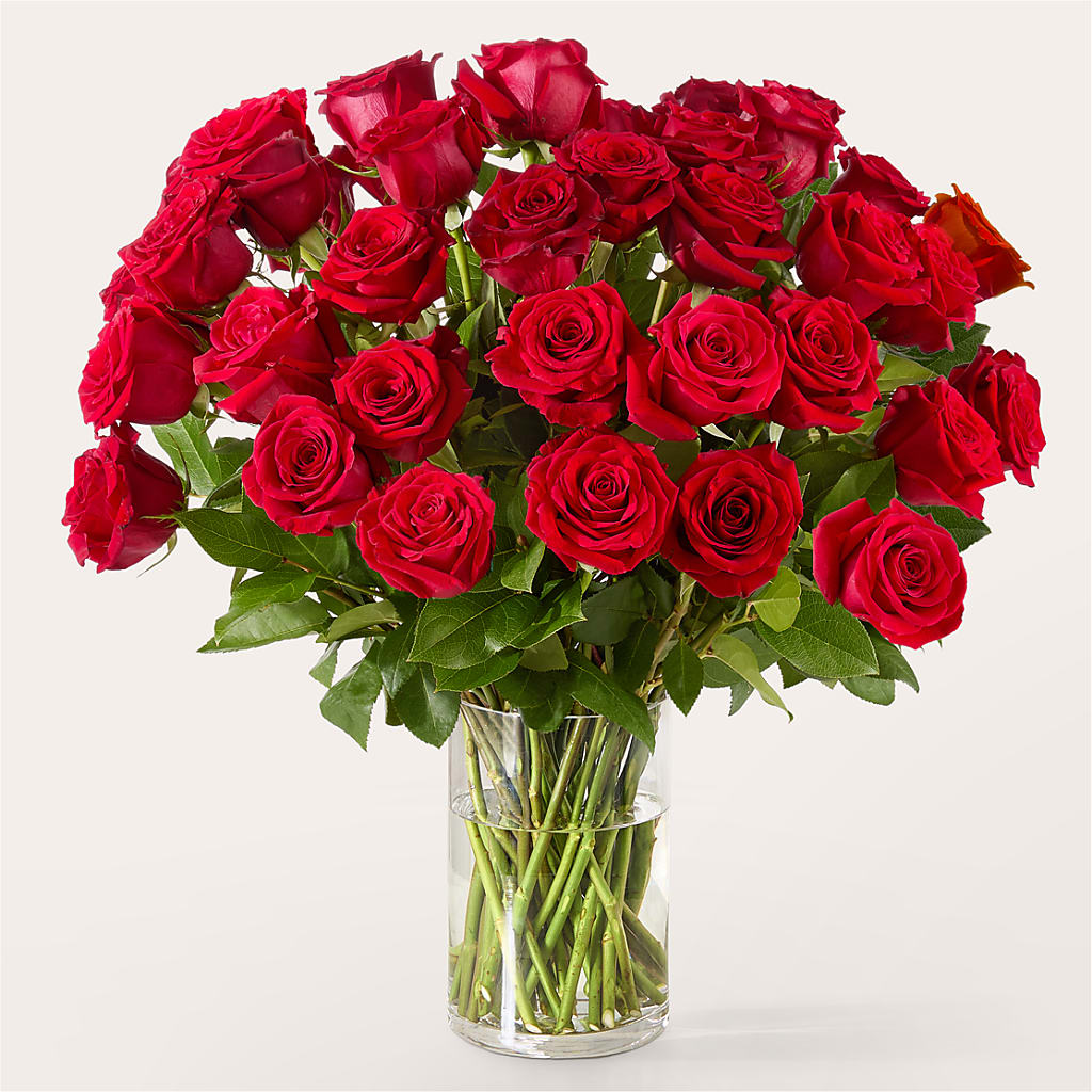 The One Red Rose Bouquet –  The Happy Florist, Sanford FL