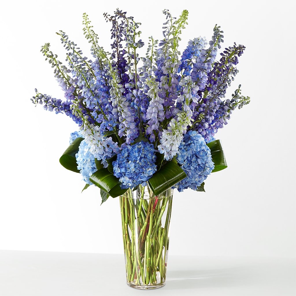 The Editorial –  The Happy Florist, Sanford FL