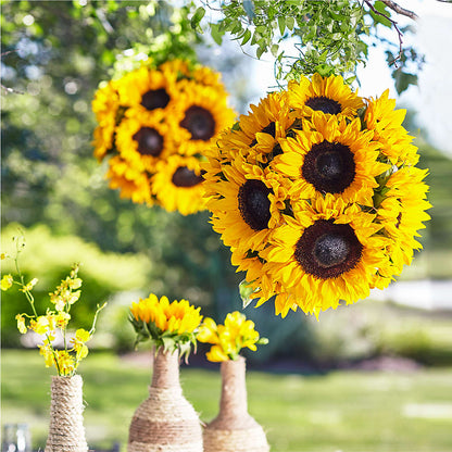 Sublime Garden Hanging Arrangement –  The Happy Florist, Sanford FL