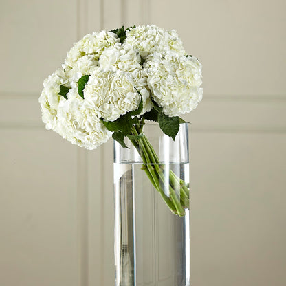 White Hydrangea Hand-Tied Bouquet –  The Happy Florist, Sanford FL