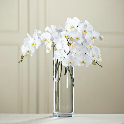 White Phalaenopsis Bouquet –  The Happy Florist, Sanford FL